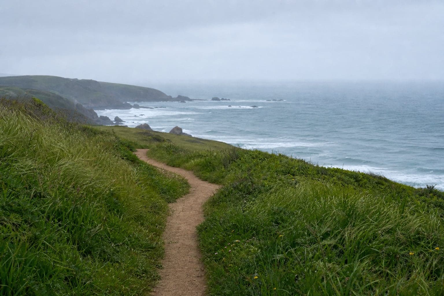 A narrow trail curving across a windy green coastal bluff toward the ocean